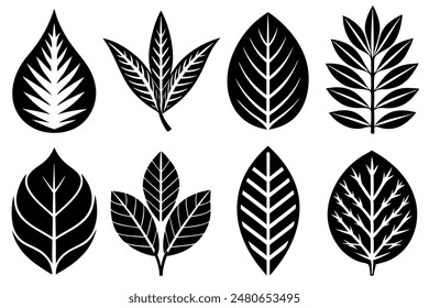 Leaves Silhouette A Set of Illustrations