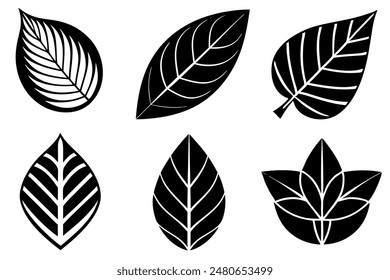 Leaves Silhouette A Set of Illustrations