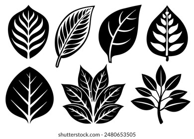 Leaves Silhouette A Set of Illustrations