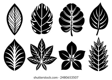 Leaves Silhouette A Set of Illustrations