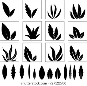 Leaves silhouette set. Isolated in Vector