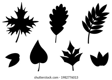 Hojas. Silhouette. Esbozo. Conjunto vectorial de ilustraciones. Colección de hojas de arce, álamo, rowan, roble y uvas. El follaje del árbol está esparcido. Cosecha del bosque otoñal. 