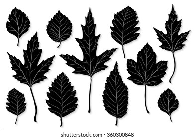 Oak Leaf Silhouette Images Stock Photos Vectors Shutterstock