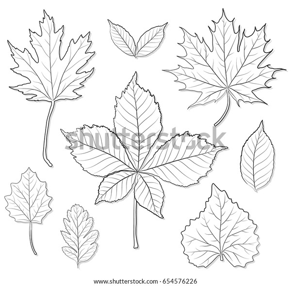 Leaves Silhouette Vector Set Coloring Book Stock Vector (Royalty Free ...