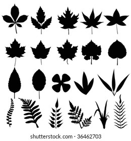 leaves silhouettes