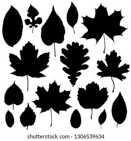 Leaf Silhouettes Stock Vector (Royalty Free) 71494702 | Shutterstock