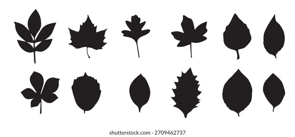 folhas silhuetas conjunto ilustração vetorial