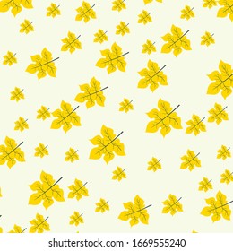 leaves with a simple cartoon style flat