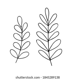 Leaves simple outline vector minimalist concept illustration, thin line hand drawn floral branch, element for invitations, greeting cards, booklet design