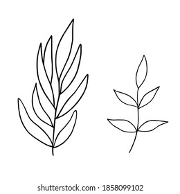 Leaves simple outline vector minimalist concept illustration, thin line hand drawn floral branch, element for invitations, greeting cards, booklet design