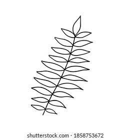 Leaves simple outline vector minimalist concept illustration, thin line hand drawn floral branch, element for invitations, greeting cards, booklet design