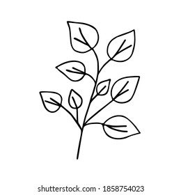 Leaves simple outline vector minimalist concept illustration, thin line hand drawn floral branch, element for invitations, greeting cards, booklet design