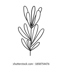 Leaves simple outline vector minimalist concept illustration, thin line hand drawn floral branch, element for invitations, greeting cards, booklet design