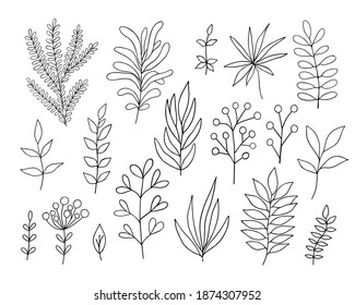 Leaves simple vector minimalist concept outline illustration, thin line hand drawn floral branch, element for invitations, greeting cards, booklet design