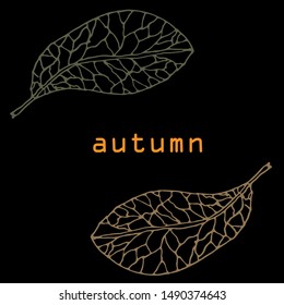leaves skeleton seamless pattern. vector illustration. on a black background