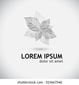 Leaves skeletons. leaves of the tree. Vector