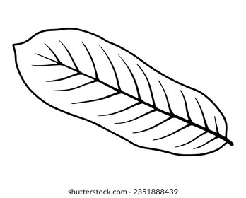 Leaves Sketch Line Art Illustration