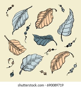 The leaves of the sketch. Set hand drawn vector illustration. Foliage design elements.