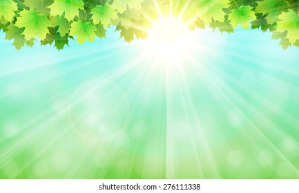 The leaves, the sky and the sun