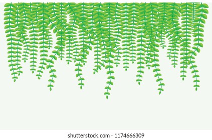 Leaves soft against a beautiful background.