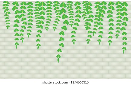 Leaves soft against a beautiful background.