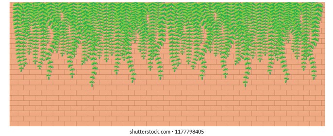 Leaves soft against a beautiful background.