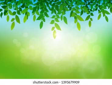 Leaves with soft bright bokeh and sunlight, fresh green nature background vector illustration