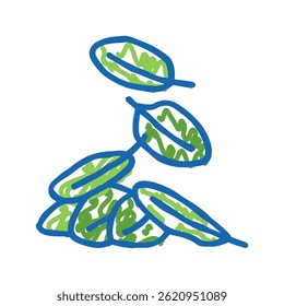 leaves spinach doodle icon sketch vector. leaves spinach sign. isolated symbol illustration