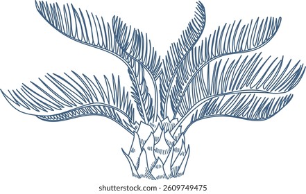 Leaves sprout from a central base in a detailed line drawing.  A tropical plant is depicted with sketched fronds. Cartoon vector illustration