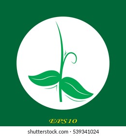 leaves sprout logo, icon, vector illustration EPS 10