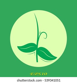 leaves sprout logo, icon, vector illustration EPS 10