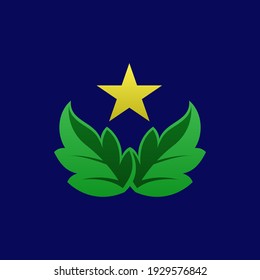 leaves with a star vector logo. leaves illustration. nature logo. eco green symbol sign.