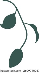 Leaves and stem are depicted in a minimalist flat style.  A single botanical element shows growth with simple shapes. Cartoon vector illustration