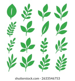 Leaves and Stems Outline Vector Collection in Green Color Ready to Use