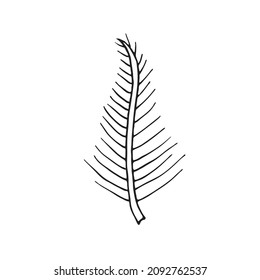 Blätter im Stil von Doodles. Vektordesign-Elemente einer schwarzen Linie, handgezeichnet. Blätter verschiedener Pflanzen, Blumen und Bäume. Vektorgrafik.
