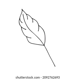 Saltos al estilo de los garabatos. Elementos de diseño vectorial de una línea negra dibujada a mano. Hojas de varias plantas, flores y árboles. Ilustración vectorial.