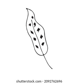 Leaves in the style of doodles. Vector design elements of a black line drawn by hand. Leaves of various plants, flowers and trees. Vector illustration.