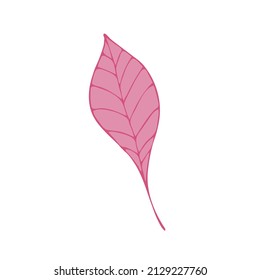 Leaves in the style of doodles. Vector design elements of a black line drawn by hand. Leaves of various plants, flowers and trees. Vector illustration.