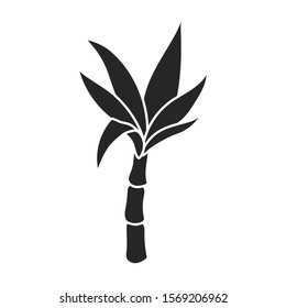 Leaves of sugarcane vector icon.Black vector icon isolated on white background leaves of sugarcane .