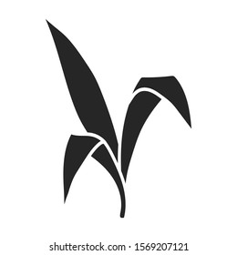 Leaves of sugarcane vector icon.Black vector icon isolated on white background leaves of sugarcane .
