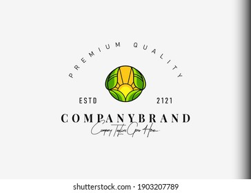 Leaves and sun logo design. Vector illustration of sunset between the leaves. Modern vintage icon design template with line art style.