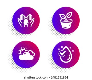 Leaves, Sunny weather and Safe water icons simple set. Halftone dots button. Water drop sign. Grow plant, Summer, Hold drop. Clean aqua. Nature set. Classic flat leaves icon. Vector