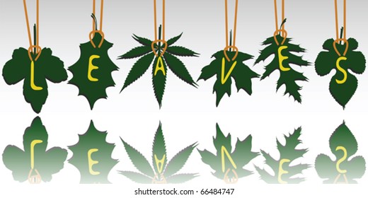leaves tags reflected, abstract vector art illustration