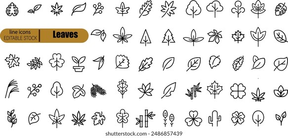 Leaves thin line icon set. Symbol collection in transparent background. Editable vector stroke.