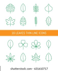 Leaves thin line icons set. Vector illustration.