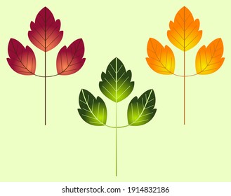 Leaves of three colors, set. Color vector illustration.