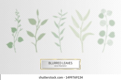 Leaves transparent blurred set for design presentations, mockups scenes, backgrounds, social media templates natural overlay effects design elements, shadows realistic leaf - Powered by Shutterstock - Get 15% off with code: PIKWIZARD15