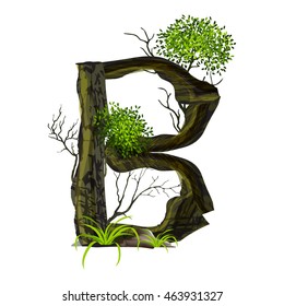 Leaves and tree font  on White background ,Eco concept,nature wood style,Green Oak