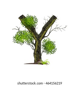 Leaves and tree font  on White background ,Eco concept,nature wood style,Green Oak