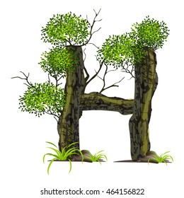 Leaves and tree font  on White background ,Eco concept,nature wood style,Green Oak